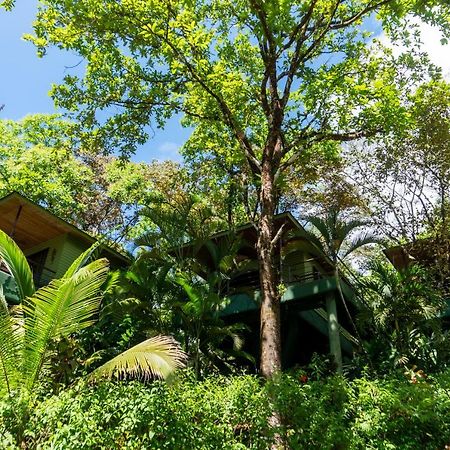 Arbol Verde Villas Ojochal Dış mekan fotoğraf